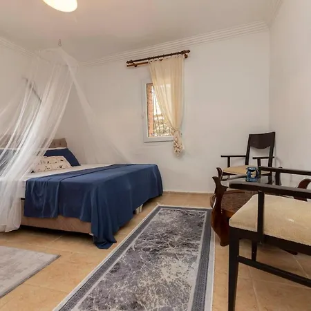 Splendid Villa Surrounded By Nature Near Milas-Bodrum Airport Villa *